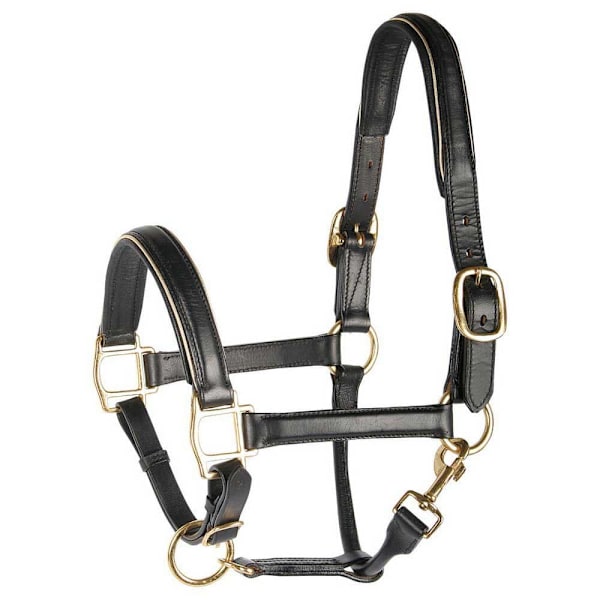 Harry´s Horse Nahkainen Riimu Reunuksella  Full